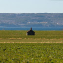 Serene Rural Landscape in Sweden  screen for extension Chrome web store in OffiDocs Chromium