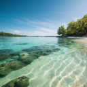 Serene Wilderness  screen for extension Chrome web store in OffiDocs Chromium Serene Wilderness  screen for extension Chrome web store in OffiDocs Chromium