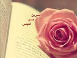 Free download seren free photo or picture to be edited with GIMP online image editor