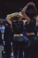 Free download Set of Charlotte Hornets Cheerleaders Photos free photo or picture to be edited with GIMP online image editor