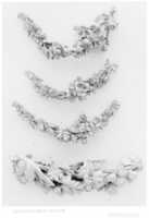 Free download Set of garlands free photo or picture to be edited with GIMP online image editor