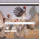 Seu  screen for extension Chrome web store in OffiDocs Chromium