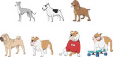 Free download Seven Dogs free photo or picture to be edited with GIMP online image editor