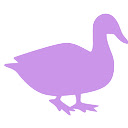 SFC TypingHack  screen for extension Chrome web store in OffiDocs Chromium