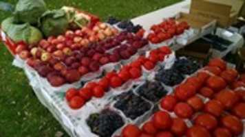 Free download sf-farm-2015-opens free photo or picture to be edited with GIMP online image editor