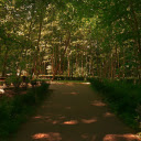 Shade park  screen for extension Chrome web store in OffiDocs Chromium