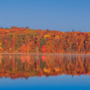 Shadows of trees under the river  screen for extension Chrome web store in OffiDocs Chromium