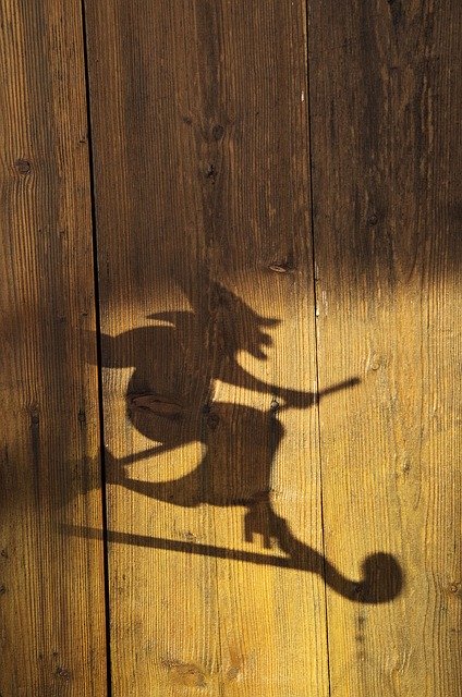 Free download Shadow The Witch Wood -  free photo or picture to be edited with GIMP online image editor