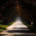 shady road  screen for extension Chrome web store in OffiDocs Chromium