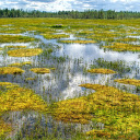 Shallow lagoon  screen for extension Chrome web store in OffiDocs Chromium