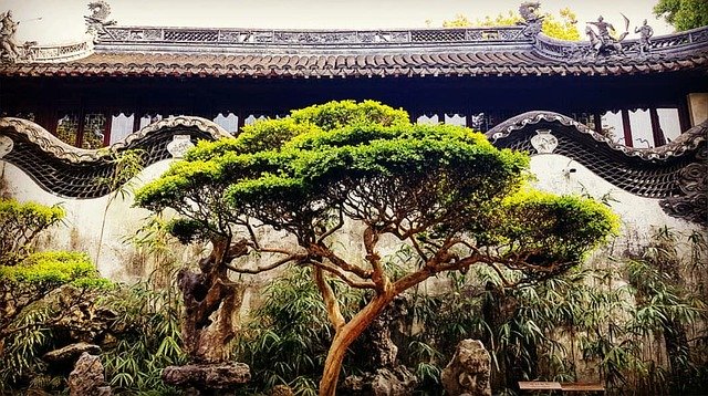 Ücretsiz indir Şanghay Çin Bahçesi - GIMP çevrimiçi resim düzenleyici ile düzenlenecek ücretsiz fotoğraf veya resim