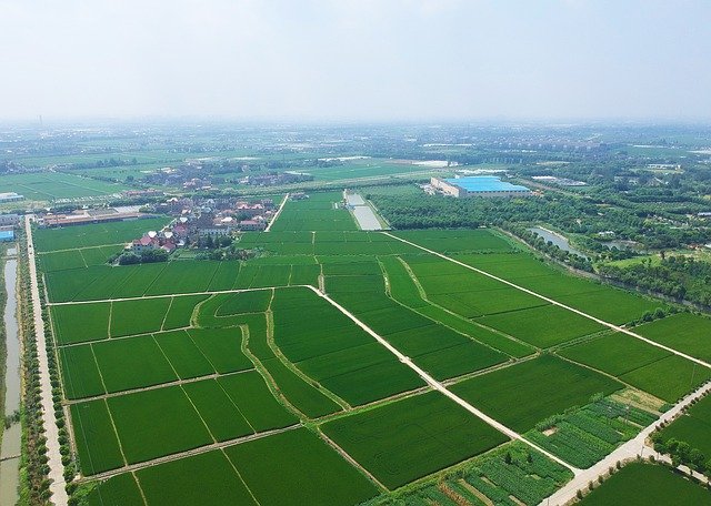 Free download Shanghai Jiading Huating -  free photo or picture to be edited with GIMP online image editor