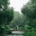 Shaping in the rain  screen for extension Chrome web store in OffiDocs Chromium