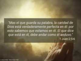 Free download sharedVerse free photo or picture to be edited with GIMP online image editor