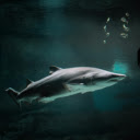 Shark  screen for extension Chrome web store in OffiDocs Chromium