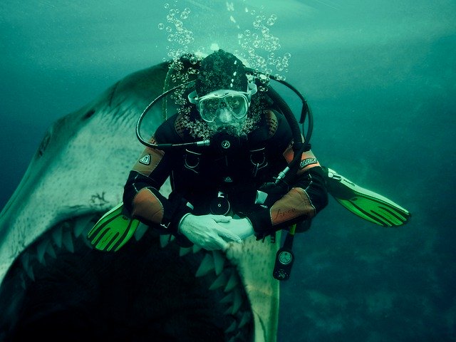 Shark Diver Submarine