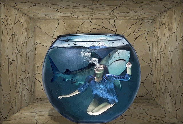 Free download Shark Girl Nightmare -  free illustration to be edited with GIMP free online image editor