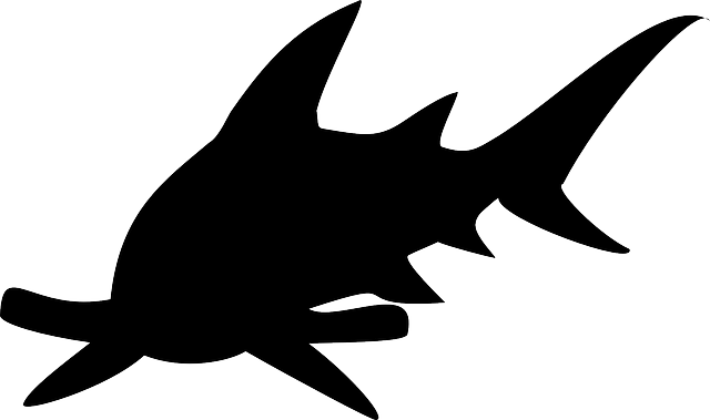 Free download Shark Hammerhead Silhouette - Free vector graphic on Pixabay free illustration to be edited with GIMP free online image editor