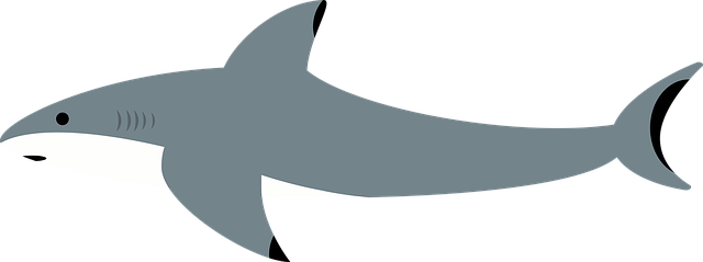 Free download Shark Sea Water -  free illustration to be edited with GIMP free online image editor