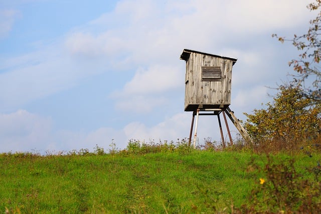 Free download shed meadow grass nature landscape free picture to be edited with GIMP free online image editor