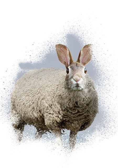 Free download Sheep Hare Ears -  free illustration to be edited with GIMP free online image editor