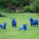Sheep in the park  screen for extension Chrome web store in OffiDocs Chromium