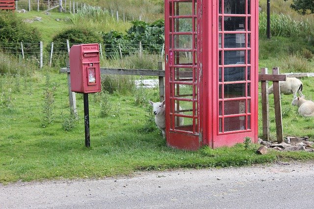 Descarga gratuita Sheep Phone Booth Royal Mail: foto o imagen gratuita para editar con el editor de imágenes en línea GIMP