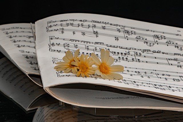 Free download sheet music 19th century cello beam free picture to be edited with GIMP free online image editor