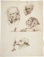 Free download Sheet of Studies:  Three Male Heads, a Lion and a Mouse free photo or picture to be edited with GIMP online image editor