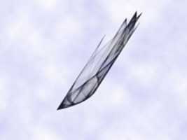 Free download She Flies Away free photo or picture to be edited with GIMP online image editor