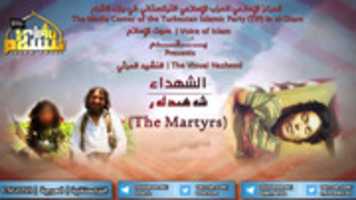 Free download shehedler free photo or picture to be edited with GIMP online image editor