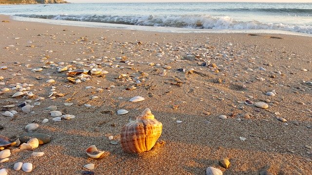 Free download Shell Beach Turkey -  free photo or picture to be edited with GIMP online image editor