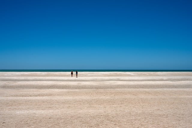 Free download shell beach western australia beach free picture to be edited with GIMP free online image editor