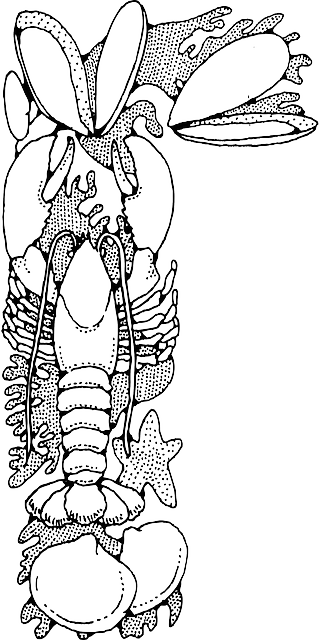 Free download Shellfish Lobster Clams - Free vector graphic on Pixabay free illustration to be edited with GIMP free online image editor