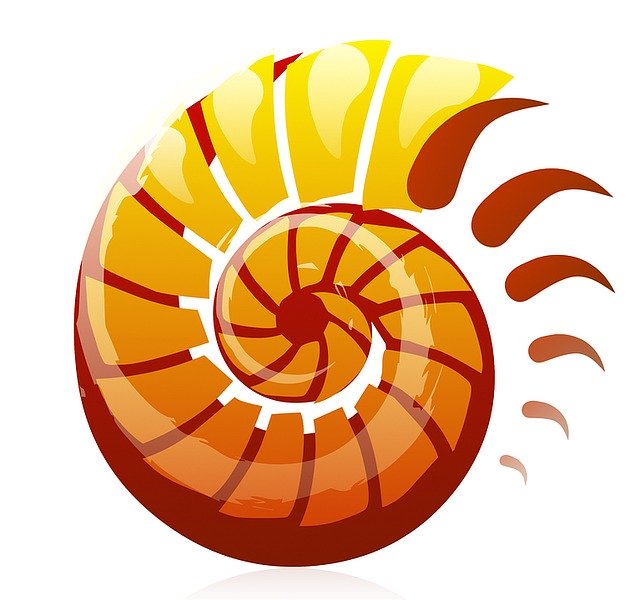 Free download Shell Logo Design -  free illustration to be edited with GIMP free online image editor