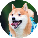 Shiba Inu Wallpaper  screen for extension Chrome web store in OffiDocs Chromium
