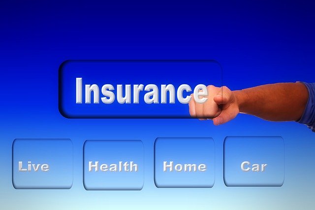 Free download Shield Arm Insurance Life -  free illustration to be edited with GIMP free online image editor