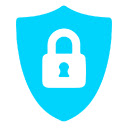 Shield Data  screen for extension Chrome web store in OffiDocs Chromium