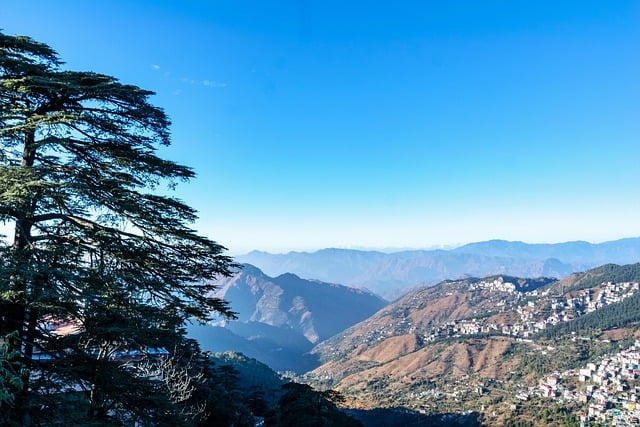 Free download shimla landscape hill tourism free picture to be edited with GIMP free online image editor