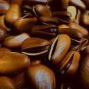 Shiny brown pine nuts  screen for extension Chrome web store in OffiDocs Chromium