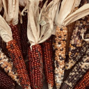 Shiny old corn cobs  screen for extension Chrome web store in OffiDocs Chromium