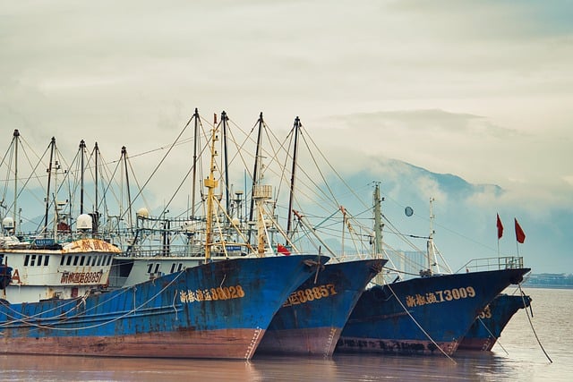 Free download ships fishing boats sea ocean port free picture to be edited with GIMP free online image editor