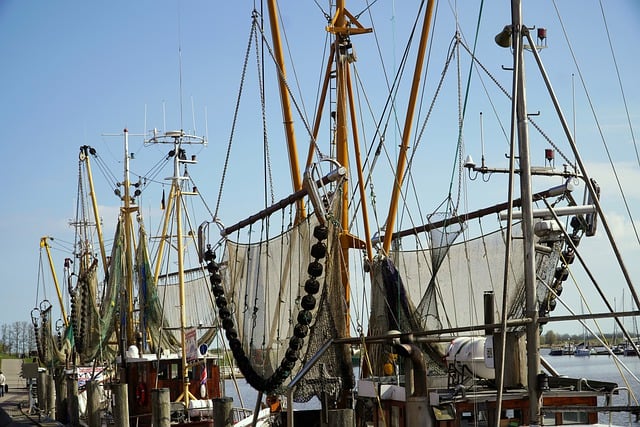 Free download ships fishing rigging masts free picture to be edited with GIMP free online image editor