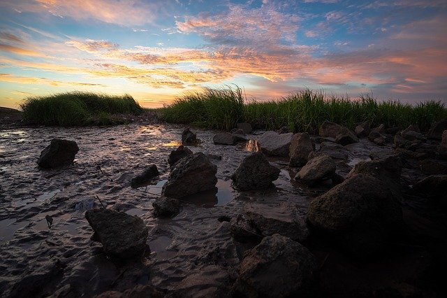 تحميل مجاني Shoals The Wild - صورة مجانية أو صورة لتحريرها باستخدام محرر الصور عبر الإنترنت GIMP