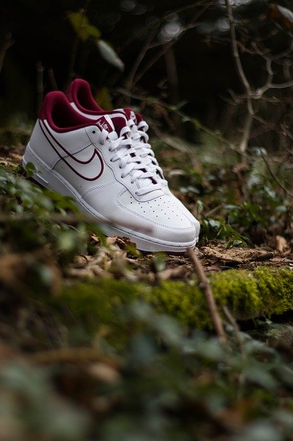 Free download Shoes Sneaker Fashion -  free photo or picture to be edited with GIMP online image editor