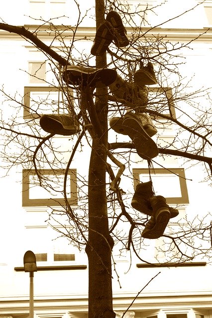 Free download Shoe Tree Street Art Hamburg Urban -  free photo or picture to be edited with GIMP online image editor