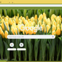 Shooting Star  screen for extension Chrome web store in OffiDocs Chromium