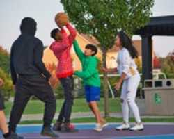 Free download Shorter Than Everyone Else free photo or picture to be edited with GIMP online image editor