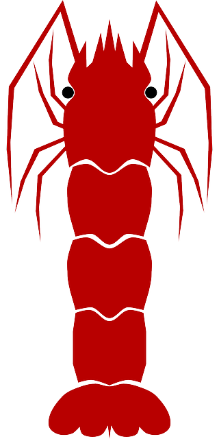 Free download Shrimp Animal Aqua - Free vector graphic on Pixabay free illustration to be edited with GIMP free online image editor