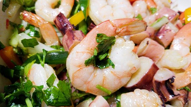 Free picture Shrimp Salad Seafood -  to be edited by GIMP free image editor by OffiDocs
